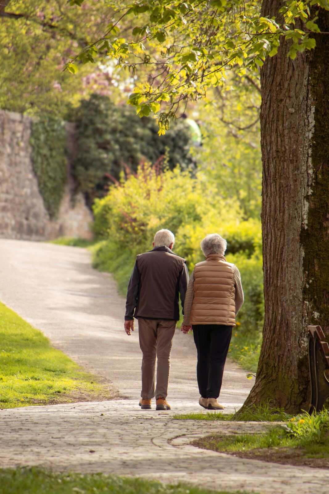 Optimal Longevity & Function